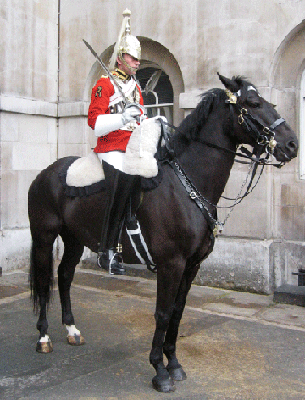 horseguards-03
